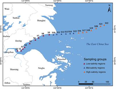 Archaeal community from the Northern Hangzhou Bay to the East China Sea: biogeography, ecological processes, and functional potential